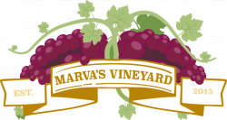 Marva's Vineyard | North Braddock, PA 15104