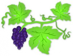 Vineyard Clipart | Free download best Vineyard Clipart on ...