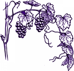 Purple Grape Vine Clip Art at Clker.com - vector clip art ...