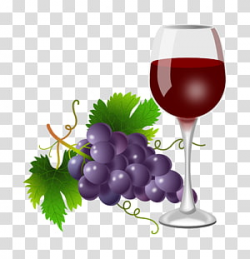 Harford Vineyard & Winery Juice Common Grape Vine Wine ...