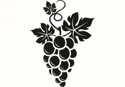 Grape Vine #1 Wine Winery Vineyard Wineglass Glass Label Drink Drinking  Alcohol Liquor Spirits Bar .SVG .EPS .PNG Vector Cricut Cut Cutting