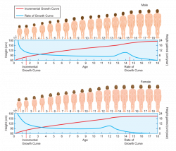 Growth of the Body | CK-12 Foundation