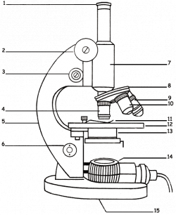 Unlabeled Microscope Diagram Group (79+)
