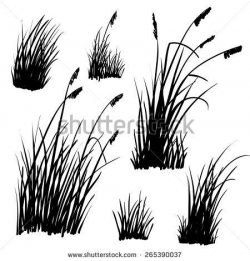 Set of hand drawn beach grass. Vector. - stock vector ...