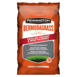 Bermudagrass Blend - Grass Seed | Pennington
