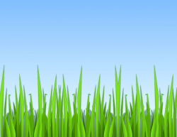 Cartoon grass and blue sky background. | Grass | Cartoon ...