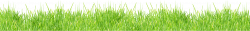 Grass PNG images, pictures