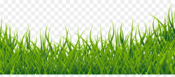 Green Grass Background png download - 2962*1274 - Free ...