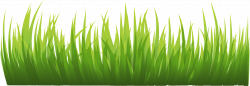 Grass Transparent Background. Grass Transparent Background F - Churl.co