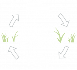 Regenerative Grazing - Pasture One