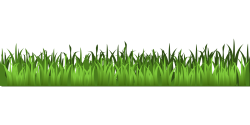 Meadow Green Grass Clipart | Clipart Panda - Free Clipart Images