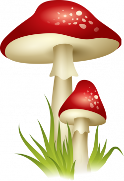 8.png | Pinterest | Mushrooms, Clip art and Decoupage