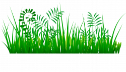 Grass PNG Images – A Live Ornament Tool | PNG Only