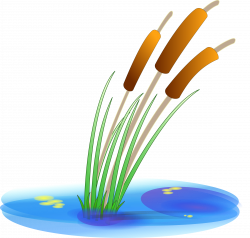 Clipart - reed