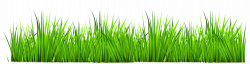 19 Grass clipart fodder HUGE FREEBIE! Download for PowerPoint ...