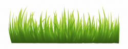 Grass Png Image, Green Grass Png Picture - Grass Background ...