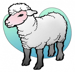 Lovely Sheep Drawing - Cute sheep 708*687 transprent Png Free ...