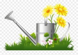 Camomile Clipart Spring Grass - Png Download (#106069 ...