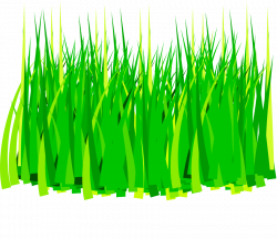Free Cartoon Pictures Of Grass, Download Free Clip Art, Free Clip ...
