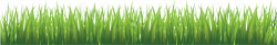 Grass Transparent Background Green Grass Border, Isolated On ...