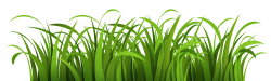 Grass Vector PNG Transparent Image - PngPix