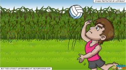 A Man Jumps Up To Spike The Volleyball and Corn Field Background