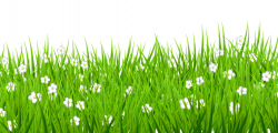 Decorative Grass Clipart PNG Picture - peoplepng.com