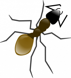 Totetude Ant Insect Clip Art at Clker.com - vector clip art online ...