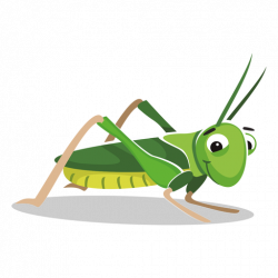 Grasshopper image with transparent background clipart ...
