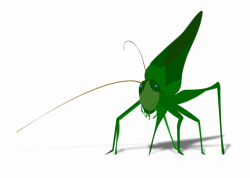 Bug Insect Grasshopper Cricket Clipart Arthropod ...