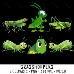 Grasshopper Clipart, Grasshopper Clip Art, Cute Bug Clipart, Cute Bug Clip  Art, Grasshopper PNG, PNG Grasshopper, Digital Grasshopper