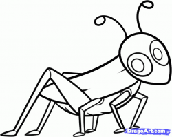 Grasshopper Drawing For Kids | Clipart Panda - Free Clipart ...