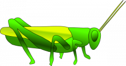 Grasshopper Cliparts - Cliparts Zone