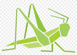 Freeuse Stock Grasshopper Clipart Flying - Grasshopper Vape ...