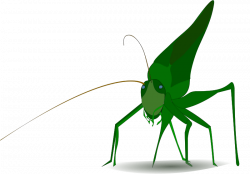 Free Clipart: Grasshopper | emeza | animal, fly,insect clipart ...