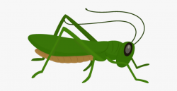 Grasshopper Clipart Grillo - Grasshopper Clipart Png ...