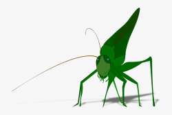 Grasshopper Clipart , Transparent Cartoon, Free Cliparts ...