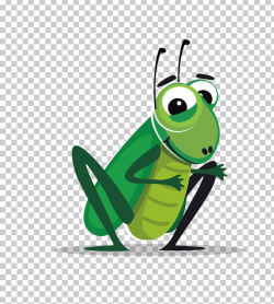 Insect Cricket Cartoon PNG, Clipart, Explosion Effect ...