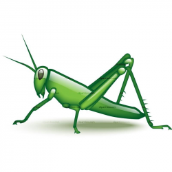 Grasshopper Clip Art | Camp Ideas | Clip art, Free clipart ...