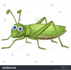 Cartoon Grasshopper Clipart | Free Images at Clker.com ...