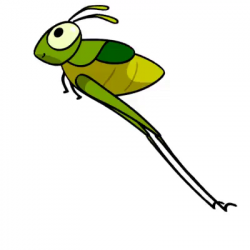 Jumping Grasshopper - Grasshopper GIF - Grasshopper JumpingGrasshopper  LittleGrasshopper - Discover & Share GIFs