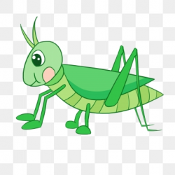 Grasshopper Clipart Images, 15 PNG Format Clip Art For Free ...