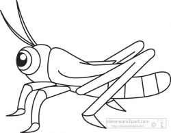 Animals clipart grasshopper insects black white outline ...