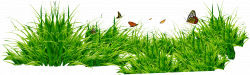 grass patch with insects png - Free PNG Images | TOPpng