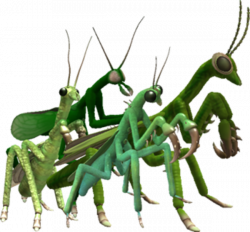 Spore Mantis | Spore | Know Your Meme