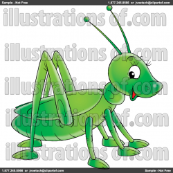 Green Grasshopper Scientific Name | Clipart Panda - Free ...