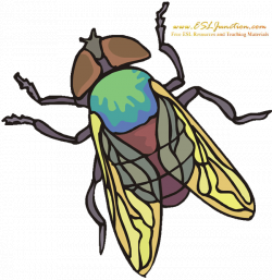 Bugs and Insects – ESL Junction