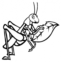 Grasshopper Coloring Page | Free download best Grasshopper ...