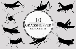 Grasshopper Insect svg, Grasshopper Bug monogram ...