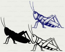 Grasshopper svg/grasshopper clipart/grasshopper svg/insects  silhouette/cricut/cut files/clip art/digital download/designs/svg